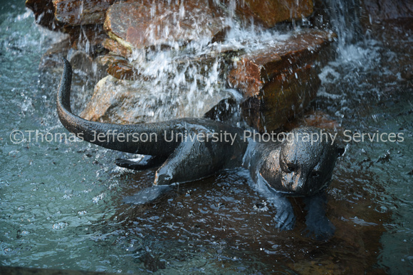 Otter Fountain 2018-0692