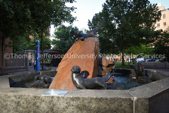 Otter Fountain 2018-0673