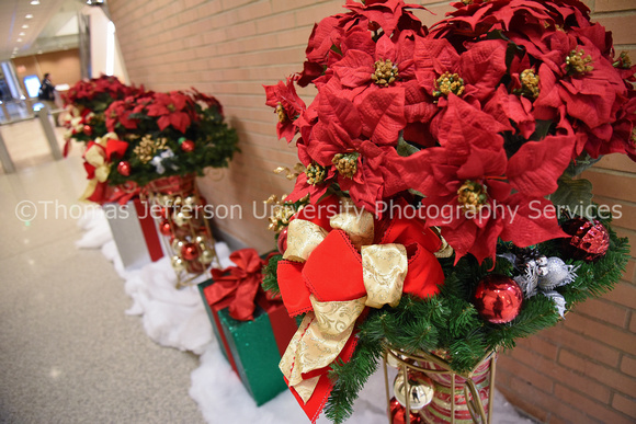 Jefferson Holiday Decorations JAH 2019-1282