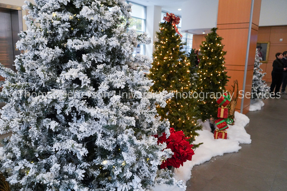 Jefferson Holiday Decorations HAM 2019-04351