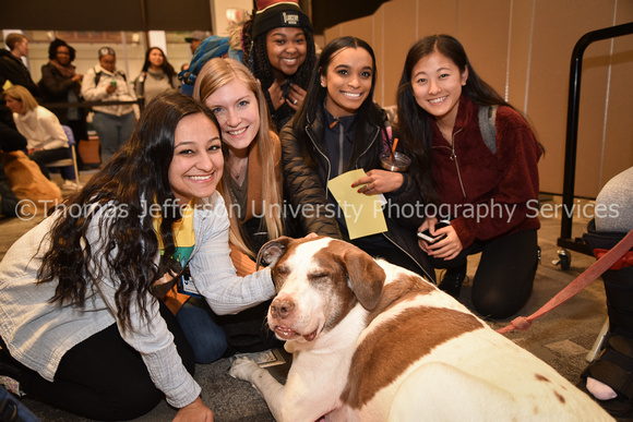 Therapy Dogs 2019-0029